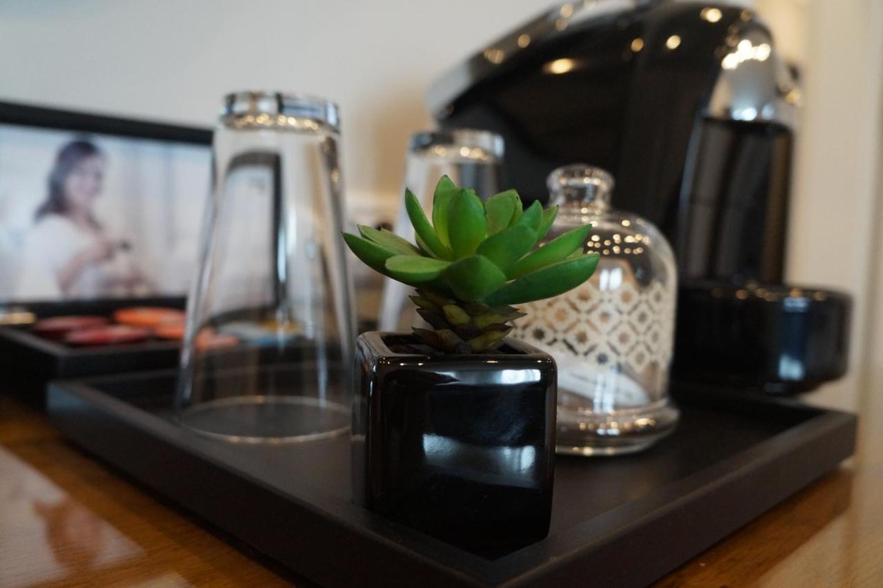 Hotel Residence Promenade Бургас Экстерьер фото A succulent plant in a hotel room